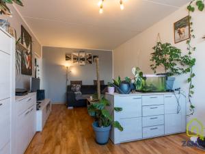 Prodej bytu 3+1, Sokolov, Spartakiádní, 74 m2