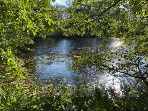 Prodej pole, Dolní Město, 359791 m2