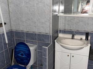 Pronájem bytu 2+1, Chomutov, Dřínovská, 60 m2