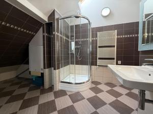 Pronájem bytu 3+kk, Liberec - Liberec II-Nové Město, U Věže, 105 m2