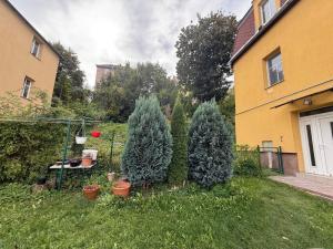 Pronájem bytu 3+kk, Liberec - Liberec II-Nové Město, U Věže, 105 m2