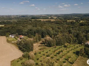 Prodej pozemku pro bydlení, Višňová, 3564 m2