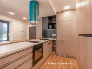 Pronájem bytu 1+kk, Ústí nad Labem, Bělehradská, 56 m2