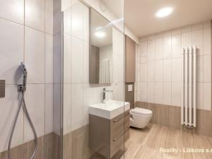 Pronájem bytu 1+kk, Ústí nad Labem, Bělehradská, 56 m2