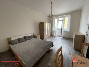 Pronájem bytu 1+1, Praha - Nusle, Hradeckých, 51 m2