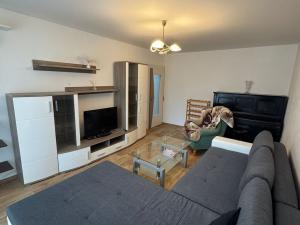 Pronájem bytu 2+1, Chomutov, Marie Pujmanové, 53 m2