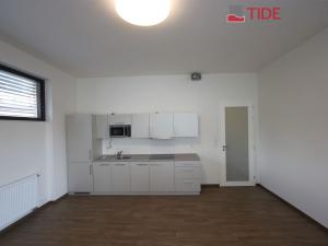 Pronájem bytu 2+kk, Praha, Nad Ryšánkou, 60 m2