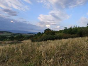 Prodej pozemku pro bydlení, Bžany - Bukovice, 1645 m2