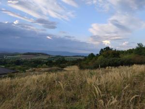 Prodej pozemku pro bydlení, Bžany - Bukovice, 1645 m2