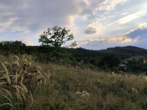 Prodej pozemku pro bydlení, Bžany - Bukovice, 1645 m2