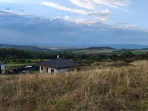 Prodej pozemku pro bydlení, Bžany - Bukovice, 1645 m2