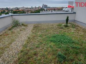 Pronájem bytu 3+kk, Praha, Štěchovická, 130 m2