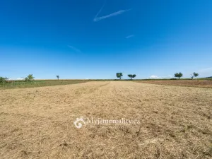 Prodej zahrady, Únanov, 1251 m2
