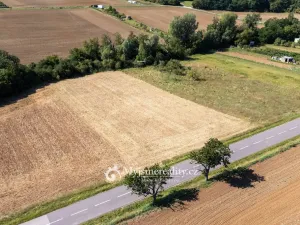 Prodej zahrady, Únanov, 1251 m2