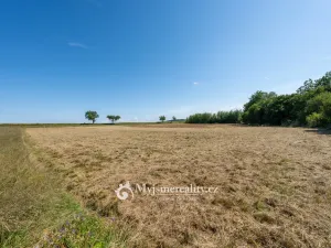 Prodej zahrady, Únanov, 1251 m2