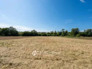 Prodej zahrady, Únanov, 1251 m2