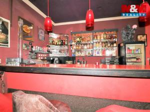 Pronájem obchodního prostoru, Cheb, Havlíčkova, 170 m2