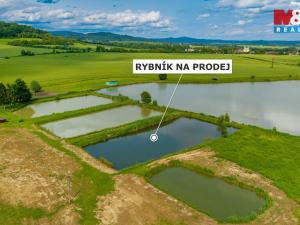 Prodej rybníku, Ostružno, 3377 m2