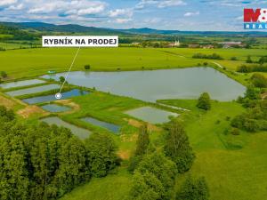 Prodej rybníku, Ostružno, 3377 m2