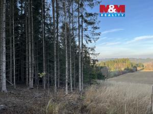 Prodej lesa, Borovnice, 38344 m2