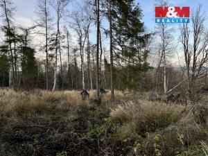 Prodej lesa, Borovnice, 38344 m2