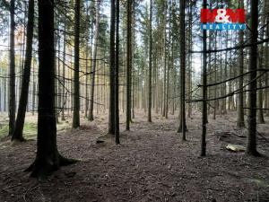 Prodej lesa, Borovnice, 38344 m2