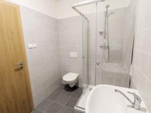 Pronájem bytu 2+kk, Havířov, Dlouhá třída, 44 m2