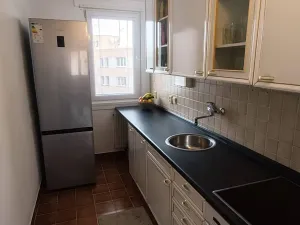 Prodej bytu 2+1, České Budějovice, L. M. Pařízka, 50 m2