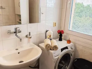 Prodej bytu 2+1, České Budějovice, L. M. Pařízka, 50 m2