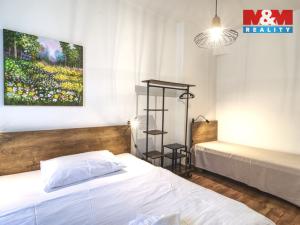 Pronájem bytu 4+kk, Praha - Karlín, Sokolovská, 111 m2