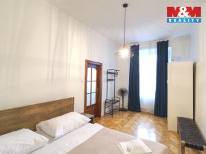 Pronájem bytu 4+kk, Praha - Karlín, Sokolovská, 111 m2