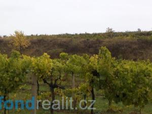 Prodej pozemku, Morkůvky, 4541 m2