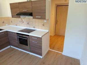 Pronájem bytu 1+1, Litvínov, Horská, 33 m2