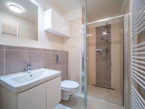 Pronájem bytu 1+kk, České Budějovice - České Budějovice 7, Lidická tř., 27 m2