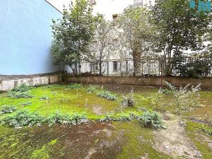 Pronájem bytu 2+1, Praha - Košíře, Vrchlického, 51 m2
