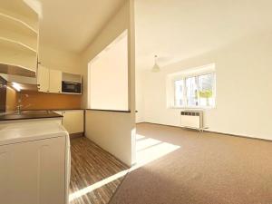 Pronájem bytu 1+kk, Praha - Nusle, U Jedličkova ústavu, 35 m2
