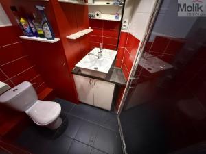 Prodej bytu 2+1, Most, U Města Chersonu, 50 m2