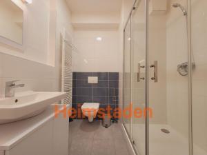 Pronájem bytu 1+kk, Plzeň - Jižní Předměstí, Magisterská, 28 m2