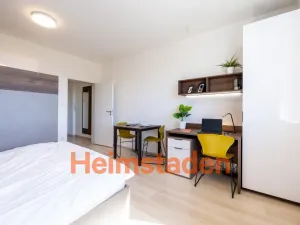 Pronájem bytu 1+kk, Plzeň - Jižní Předměstí, Magisterská, 28 m2