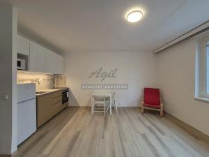 Pronájem bytu 1+kk, Brno, 33 m2