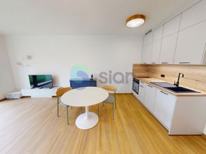 Pronájem bytu 1+kk, Ostrava, U Hájenky, 3629 m2