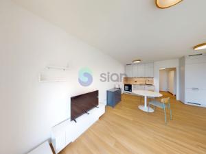 Pronájem bytu 1+kk, Ostrava, U Hájenky, 3629 m2