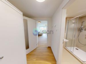 Pronájem bytu 1+kk, Ostrava, U Hájenky, 3629 m2