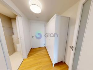 Pronájem bytu 1+kk, Ostrava, U Hájenky, 3629 m2