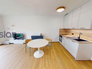 Pronájem bytu 1+kk, Ostrava, U Hájenky, 34 m2