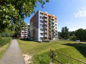 Pronájem bytu 1+kk, Kaplice, Na Vyhlídce, 24 m2