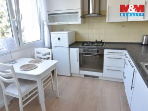 Pronájem bytu 1+1, Mladá Boleslav, U stadionu, 40 m2