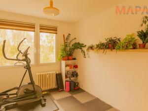Prodej bytu 5+1, Jirkov, Pionýrů, 100 m2