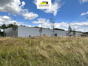 Pronájem výrobních prostor, Přimda - Mlýnec, 8000 m2