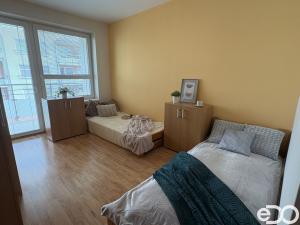 Pronájem bytu 3+kk, Hradec Králové, Rybova, 66 m2
